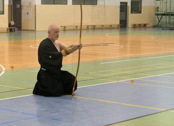 Honda-ryu kenshukai