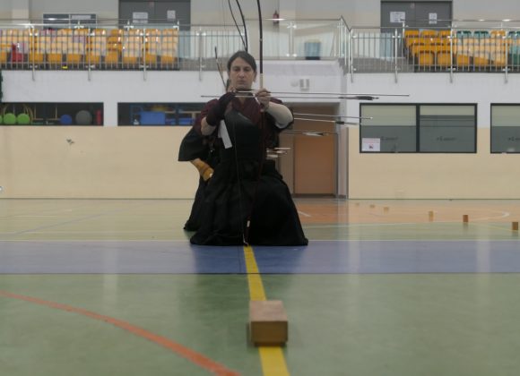 Honda-ryu kenshukai